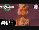 【ティアキン＃85】凡人が行く龍泪旅