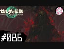 【ティアキン＃86】凡人が行く龍泪旅