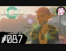 【ティアキン＃87】凡人が行く龍泪旅