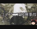 【ゆっくり朗読】ゆっくりさんと世界事件簿 その295