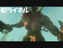 #31【ゼルダの伝説 ブレス オブ ザ ワイルド】ライネルから隠れつつ雷の矢を探す！