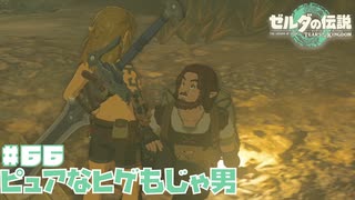 こちらが一ヶ月越しに発見された登山好きのキャラバン隊員【ゼルダの伝説 ティアーズ オブ ザ キングダム】#66