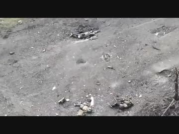 ホモと見るウクライナ軍の待ち伏せを受けるロシア軍機甲中隊　Q