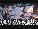 【実況】オタクが初見で「ブルーアーカイブ」を反応する #28【ブルアカ / カルバノグの兎編 1章】