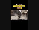 政治的芸術