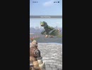 モンスターハンターNOW プケプケ　★4
