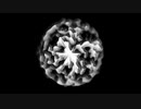 Talimequid Cellntain Particle
