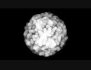 Fountain Cell Particle