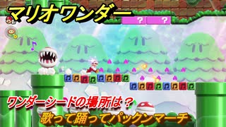 マリオワンダー　歌って踊ってパックンマーチ　ワンダーシードの場所は？　＃３　【スーパーマリオブラザーズ ワンダー】