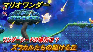 マリオワンダー　ズラカルたちの駆ける丘　ワンダーシードの場所は？　＃６　【スーパーマリオブラザーズ ワンダー】