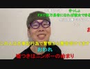 【コメント有】ニンポー 2023年10月20日13時50分 お話【ニコ生録画】