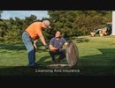 Septic Tank Emptying Service