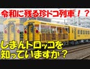 【令和に残る珍ドコ列車！？】四国を走るトロッコ列車「しまんトロッコ」を知っていますか？【ゆっくり解説】【しまんトロッコ】