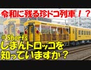 【令和に残る珍ドコ列車！？】四国を走るトロッコ列車「しまんトロッコ」を知っていますか？【ゆっくり解説】【しまんトロッコ】 #Shorts