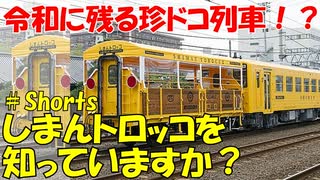 【令和に残る珍ドコ列車！？】四国を走るトロッコ列車「しまんトロッコ」を知っていますか？【ゆっくり解説】【しまんトロッコ】 #Shorts