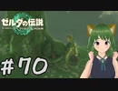 サトリを召喚してみよ！ティアキン実況#70【風夢ふろる】
