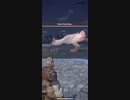 モンスターハンターNOW パオウルムー　★4