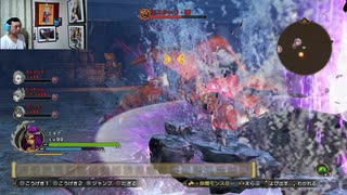 ドラゴンクエストヒーローズⅡ-1163