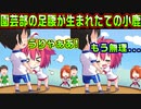【ラズベリーキューブ(エロゲ)】#52　自信満々だったのにクソ雑魚力士だった【セックスへの道】