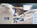 るてんせず