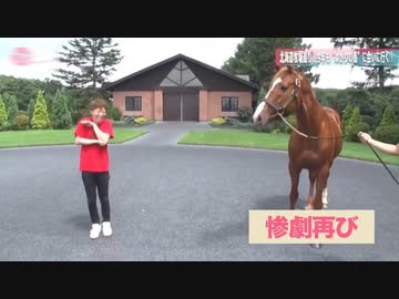 ゴールドシップと見るオルフェーヴルの前蹴り