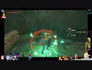⌘プレイアーカイブ⌘ ハイラルソード その149
