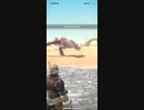 モンスターハンターNOW  パオウルムー　★3