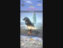 モンスターハンターNOW トビカガチ　★3