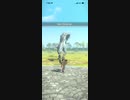 モンスターハンターNOW トビカガチ　★4