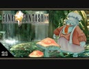 【FF9＊実況】初見でおじゃまするわくわくする世界！第二十一幕
