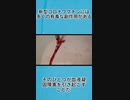 新型コロナワクチンには多くの有毒な副作用がある