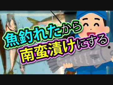 過去最高に魚が釣れたよ。（嫌がる娘に無理やり弁当を持たせてみた息子編）