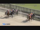 2023年10月21日　東京4R　2歳新馬　ラタフォレスト