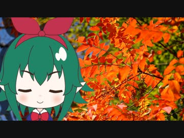 第二世界の旅日記 143【ＵＦＯ偵察編・前編】