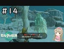 #14【女性実況】ゼルダの伝説 ティアーズ オブ ザ キングダムで癒される♪