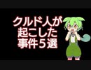 【ずんだもん解説】クルド人が起こした事件5選