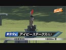 【競馬】2023年 アイビーステークス(L)【ダノンエアズロック / J.モレイラ】
