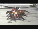 2023年10月21日高知競馬5R ＪＢＣ協会協賛高知佐賀スタリオンシリーズ レッドファルクス賞(準重賞) アポロティアモ