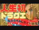 【ドラクエ11】【ゲーム実況】人生初のドラクエで叫びまくる！？スライムをアイドル化してしまいましたパート1【初見実況】