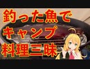 【弦巻マキ実況】日光市三依地区へのソロ釣りキャンプ旅【フライフィッシング】