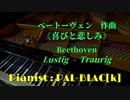 【クラシック】ベートーヴェンの「喜びと悲しみ」を弾いてみた【ピアノ】