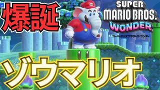 ガンギマリオの冒険【スーパーマリオブラザーズ ワンダー】Part1