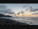 【あかねこ】糸島 トトロの森に来てみたよ´˘`♡。2023年10月15日