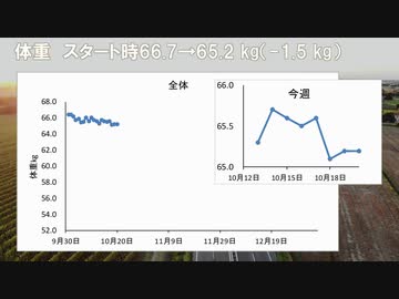 【第２章】BMI22を目指して3（10/14～20）【ダイエット】