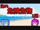 【VOICEROID解説】ゆかり先輩と見る危険生物【海編⑤】