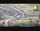 ホモと見る戦場でもたつくと危ないロシア兵