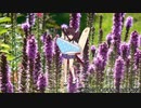 liatris