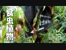 【第193回】牧野植物園⑨とFPVと海洋堂