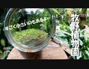 【第194回】牧野植物園⑩とマウントテストとしぐれ