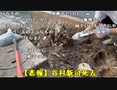 【勇者トロ】庭DIY 車で木をひっぱってみる。2023年10月16日